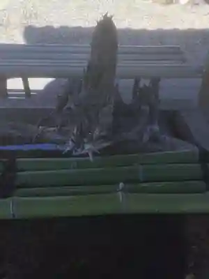 熱田神社（養父熱田神社）の手水舎