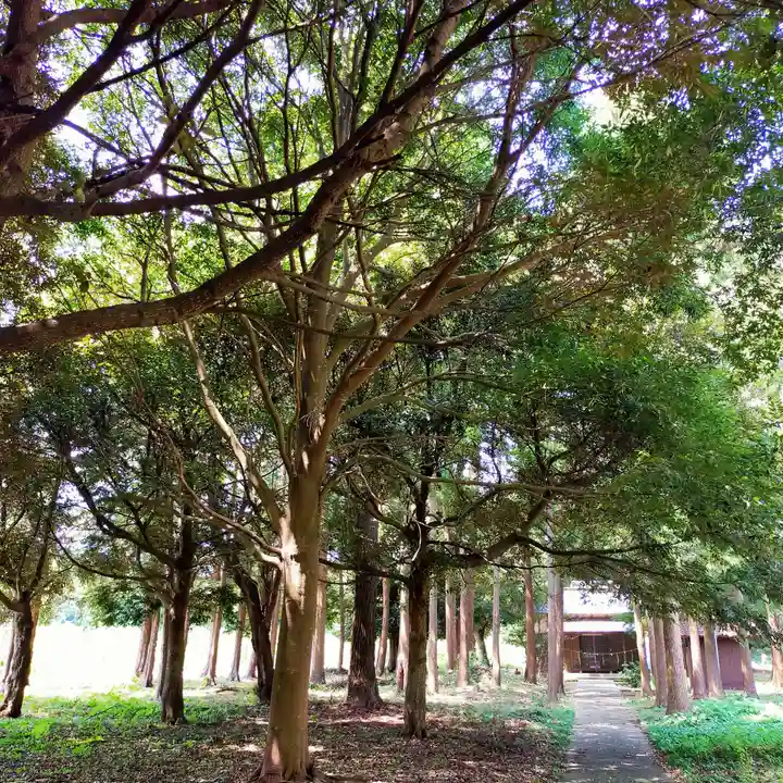 火皇子神社(千葉県)