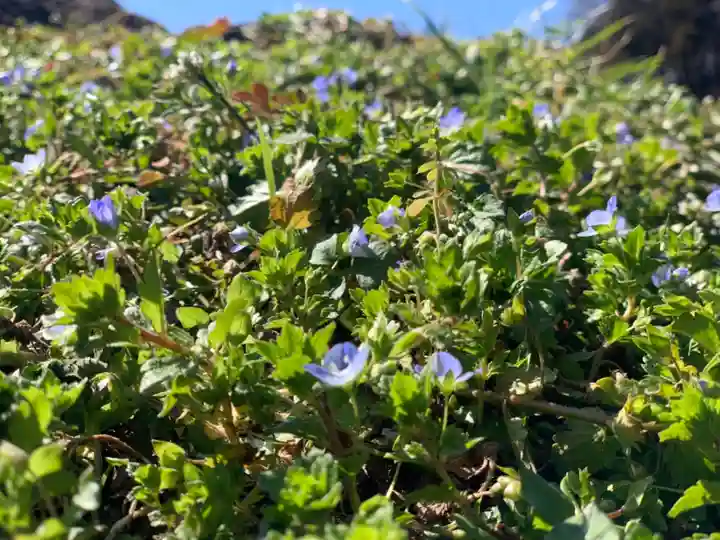 曹洞宗 永松山 龍泉寺の自然