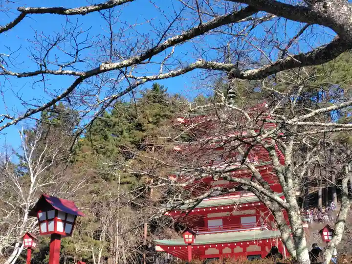 新倉富士浅間神社(山梨県)