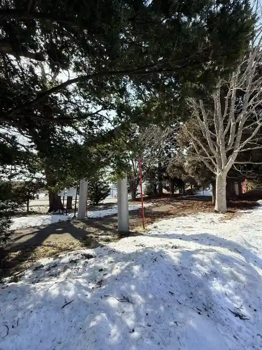 市渡稲荷神社・川濯神社の{uncategorized: "未分類", other: "その他", undefined: "問題あり", building: "その他建物", grave: "お墓", sacred_gate: "鳥居", guardian: "狛犬", statue: "像", buddha: "仏像", history: "歴史", nature: "自然", garden: "庭園", animal: "動物", pagoda: "塔", temizu: "手水舎", mountain_gate: "山門・神門", sanctuary: "本殿・本堂", subordinate: "末社・摂社", art: "芸術", scenery: "景色", jizo: "地蔵", ema: "絵馬", goshuin: "御朱印", omikuji: "おみくじ", items: "授与品その他", amulet: "お守り", goshuincho: "御朱印帳", eats: "食事", festival: "お祭り", votive_dance: "神楽", shichigosan: "七五三参", wedding: "結婚式", experience: "体験その他", initially: "初詣", around: "周辺", anti_infection: "感染症対策"}