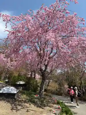 勝尾寺(大阪府)