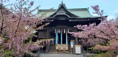 桜神宮の本殿・本堂