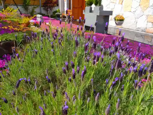 寿量山　速成寺(奈良県)