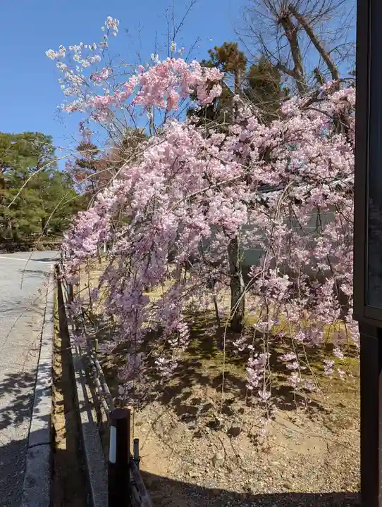 仁和寺(京都府)