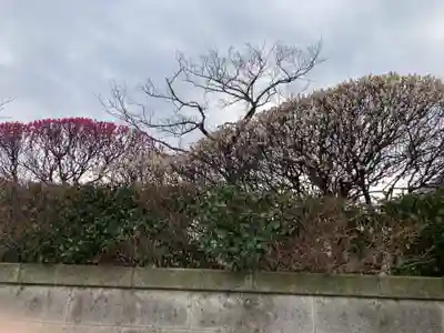 薬師院(神奈川県)