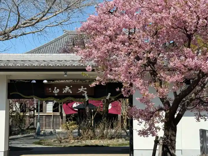 普門院の{uncategorized: "未分類", other: "その他", undefined: "問題あり", building: "その他建物", grave: "お墓", sacred_gate: "鳥居", guardian: "狛犬", statue: "像", buddha: "仏像", history: "歴史", nature: "自然", garden: "庭園", animal: "動物", pagoda: "塔", temizu: "手水舎", mountain_gate: "山門・神門", sanctuary: "本殿・本堂", subordinate: "末社・摂社", art: "芸術", scenery: "景色", jizo: "地蔵", ema: "絵馬", goshuin: "御朱印", omikuji: "おみくじ", items: "授与品その他", amulet: "お守り", goshuincho: "御朱印帳", eats: "食事", festival: "お祭り", votive_dance: "神楽", shichigosan: "七五三参", wedding: "結婚式", experience: "体験その他", initially: "初詣", around: "周辺", anti_infection: "感染症対策"}