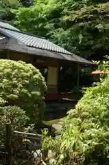 二尊院の庭園