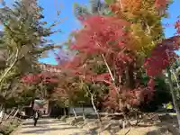 醍醐寺(京都府)