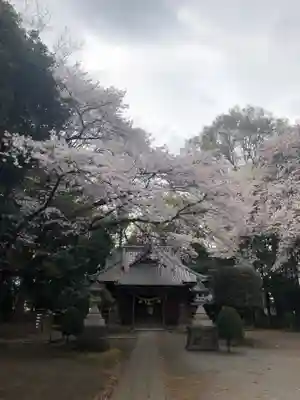 中氷川神社の本殿・本堂