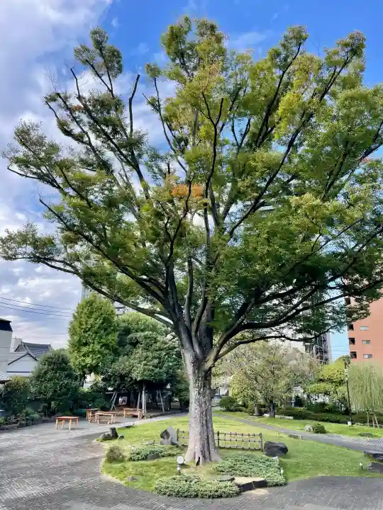 正光寺(東京都)