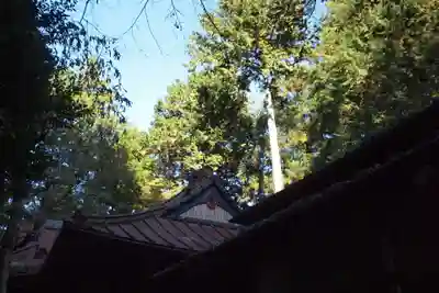 朝日稲荷神社のその他建物