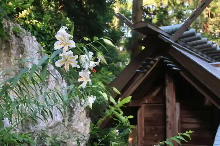 鹿島大神宮の本殿・本堂