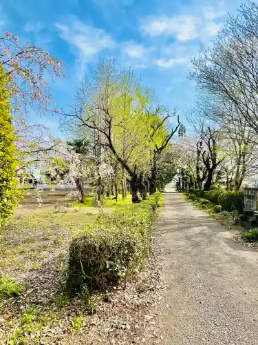 教王寺(群馬県)