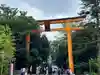 川越氷川神社(埼玉県)