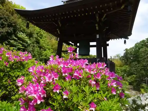 天台宗　長窪山　正覚寺のその他建物
