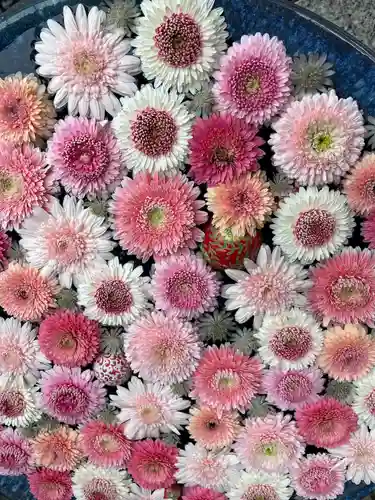 行田八幡神社の手水舎