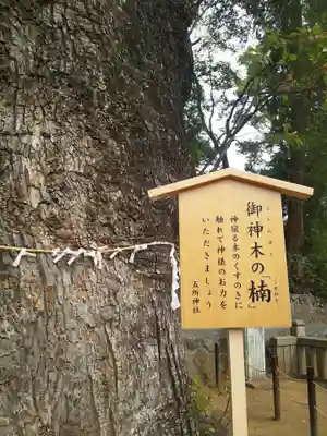 五所神社(神奈川県)