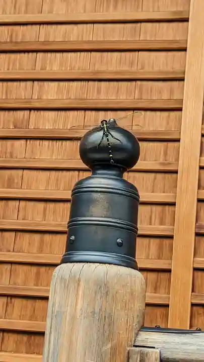 浄篤院(京都府)