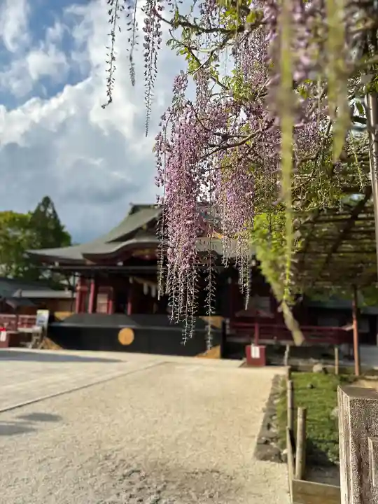 笠間稲荷神社(茨城県)