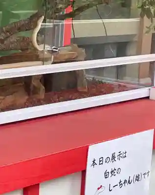 蛇窪神社のその他建物