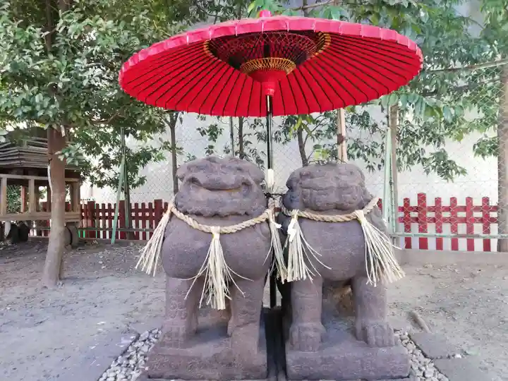 浅草神社の狛犬