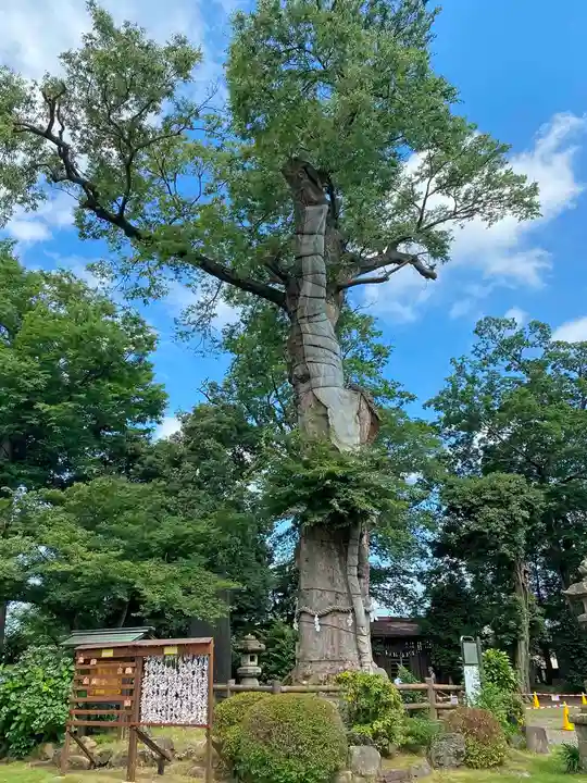 廣瀬神社の自然