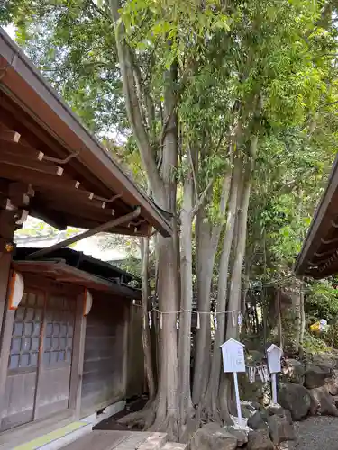 検見川神社の庭園