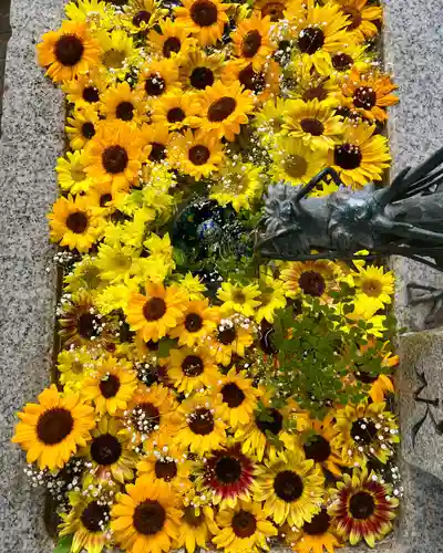 札幌諏訪神社の手水舎