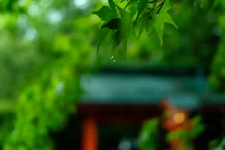 枚聞神社(鹿児島県)