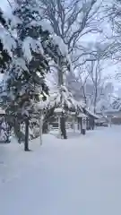 新琴似神社の建物その他