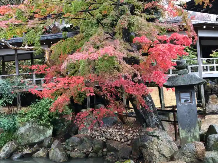 楽法寺(雨引観音)の自然