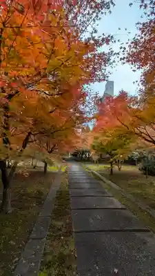 興聖寺(京都府)