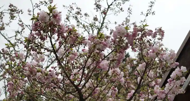 赤堂観音の自然