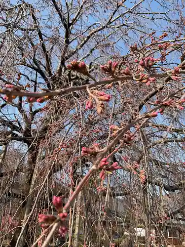 正眼寺(愛知県)