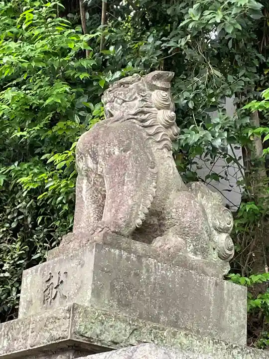 代々木八幡宮の狛犬