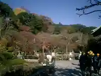 長谷寺のその他建物