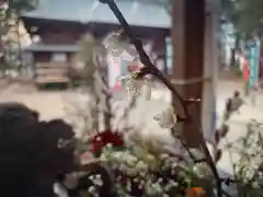 滑川神社 - 仕事と子どもの守り神(福島県)