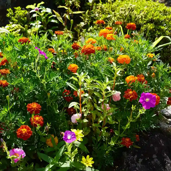 大鏑神社の自然