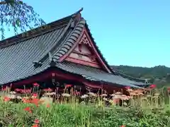 興徳寺(静岡県)