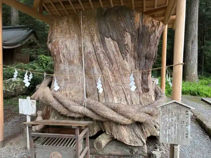 小國神社(静岡県)