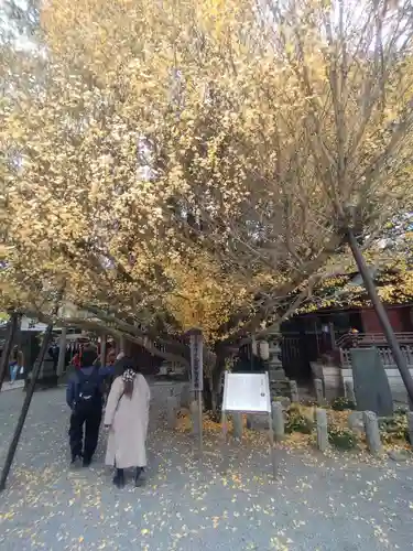 秩父神社(埼玉県)