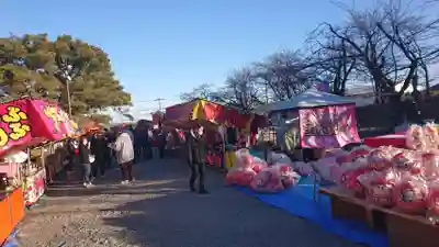 照明寺　(反町薬師尊)(群馬県)