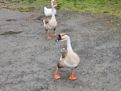 愛染院(和歌山県)