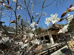 三重縣護國神社(三重県)