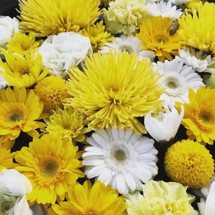 鹿島台神社の手水舎