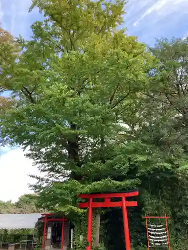 白笹稲荷神社(神奈川県)