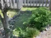 竹生嶋社の庭園