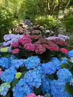 長谷寺(奈良県)