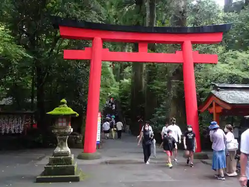 箱根神社の鳥居